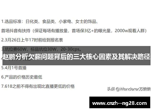 赵鹏分析欠薪问题背后的三大核心因素及其解决路径