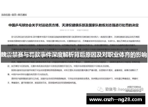 魏震禁赛与罚款事件深度解析背后原因及对职业体育的影响